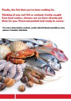 Fresh & Frozen Fish From Maldives