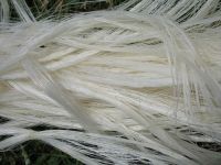 100% pure White Sisal Fibre for sale