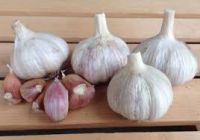 Garlic, Natural White, Purple, Elephant, Peeele