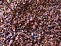 High Grade Cocoa Beans and Cocoa Nibs