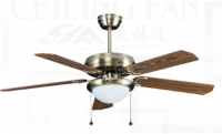 ceiling fans with lights