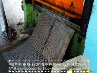 Decorative Wire Mesh, Fence Walls, Decorative Aluminum Mesh Security Shutters.