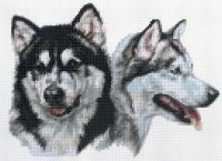 Alaskan Malamute Counted Cross Stitch Kit