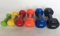 vinyl dumbbell
