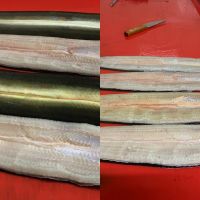 Eel Fillet