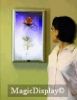 Magic Mirror (MDMM)