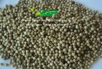 white pepper