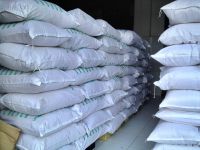 Low and High Fat Desiccated coconut powder From Cameroon
