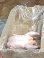 First Grade Broiler Chicken Meat (Halal)
