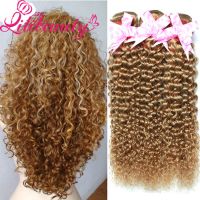 Hot Selling Lili Beauty Kinky Curly Brazilian Virgin Hair