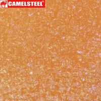 steel coil camelsteel