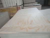https://cn.tradekey.com/product_view/Competitive-Price-Commercial-Plywood-For-Furniture-Decoration-And-Packing-8648223.html