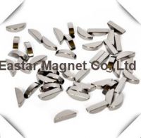 Permanent Sintered Neodymium Special Shap Magnet (ET-Special-02).