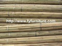Tea Pole Bamboo, Tsinglee bamboo, Tonkin Bamboo, Bamboo Canes, Bamboo Pole