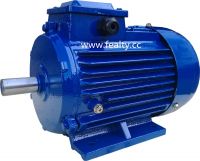 ANP series three phase induction motor