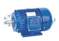 AEEF three-phase induction motor