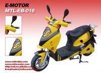 Electric Scooter1