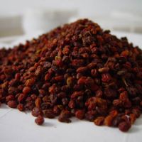 Conseco Seabuckthorn Dried Berry