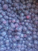 IQF Frozen Bilberry / Wild Blueberry