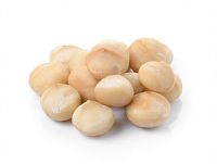 Organic Macadamia Nuts