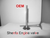 Intake & Exhaust Engine Valves for Mitsubishi 4D56 Valve