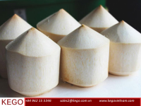 Diamond Cut Young Coconut From Vietnam