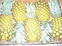 PINEAPPLE