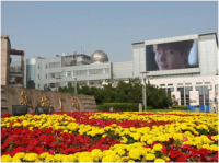 P10 DIP Dual Maintenance LED Display