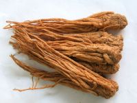 Radix Angelicae Sinensis/Chinese Angelica/Angelicae Sinensis/Dang gui/herb