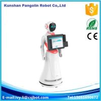 Multi-function smart humanoid service robot in airport consulting information