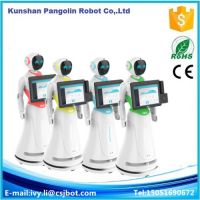 Multi-function smart humanoid service robot in airport consulting information