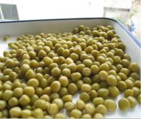 canned green peas