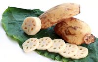 FRESH  LOTUS ROOT