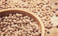 Desi Chickpeas