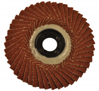 Flap Discs