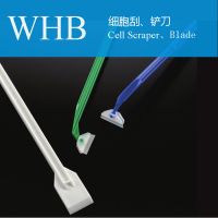 Cell Scraper & Cell Lifter