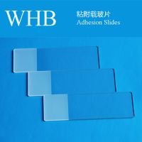 Wholesale High Quality WHB Colorful Adhesion Slides