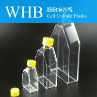 High Quality Seal / Breathable Cap Style 50 Ml / 250ml / 600ml Cell Culture Flasks