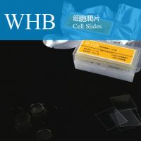 https://cn.tradekey.com/product_view/Wholesale-Tc-Treatment-Cover-Glass-8677556.html