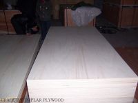 Factory wholesale poplar commercial plywood with best price