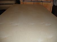 Birch Plywood from Mega Industries direct sale