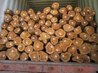 TEAK WOOD