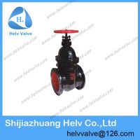 gate valve 