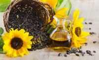 Natural unrefined sunflower oil Cold press for cooking sunflower oil  Tel:+66937163346 Whatapple +1917426 8367 Skype: tino.jawife