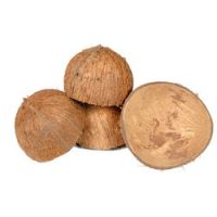 Coconut Shells