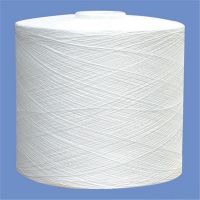 100D / 144F Polyester DTY Yarn RW SD From China
