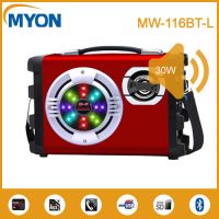 30W Portable LED Light  Wooden Bluetooth