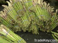 ASPARAGUS