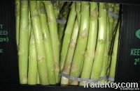 Asparagus