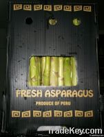 Fresh Green Asparagus